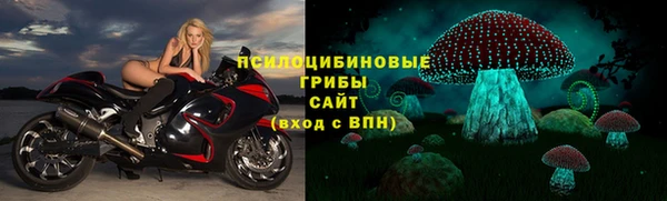 МДМА Богородицк