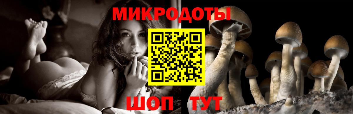 Псилоцибиновые грибы мухоморы Радужный